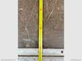 Ford Tran.350 2.0 160 PL Cab.Trend Bianco - thumbnail 11