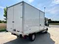 Ford Tran.350 2.0 160 PL Cab.Trend Bianco - thumbnail 3