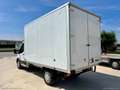 Ford Tran.350 2.0 160 PL Cab.Trend Bianco - thumbnail 4