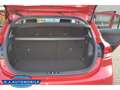 Kia Rio Vision ,Navi,Klimaut.,TOP Rot - thumbnail 17