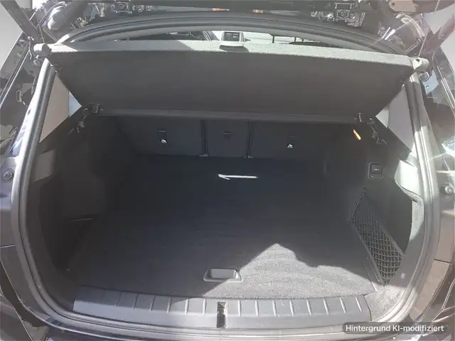 BMW X1 view 12