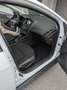 Ford Focus Weiß - thumbnail 12