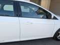 Ford Focus Weiß - thumbnail 21