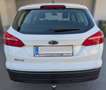 Ford Focus Weiß - thumbnail 4