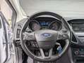 Ford Focus Weiß - thumbnail 15