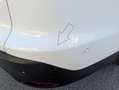 Ford Focus Weiß - thumbnail 17