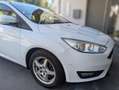 Ford Focus Weiß - thumbnail 9