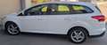 Ford Focus Weiß - thumbnail 2