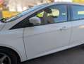 Ford Focus Weiß - thumbnail 20