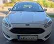 Ford Focus Weiß - thumbnail 10