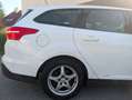 Ford Focus Weiß - thumbnail 6