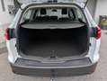 Ford Focus Weiß - thumbnail 22
