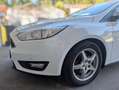 Ford Focus Weiß - thumbnail 1
