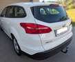 Ford Focus Weiß - thumbnail 3