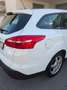 Ford Focus Weiß - thumbnail 7