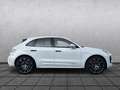 Porsche Macan Macan GTS*Approved04/27*Luftf.*Standhzg.*21*ACC*BOSE Weiß - thumbnail 6