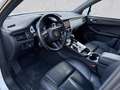 Porsche Macan Macan GTS*Approved04/27*Luftf.*Standhzg.*21*ACC*BOSE Weiß - thumbnail 10