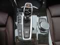 BMW X4 M i StHz LED HeadUp GSD Harman Kamera DAB Gris - thumbnail 12