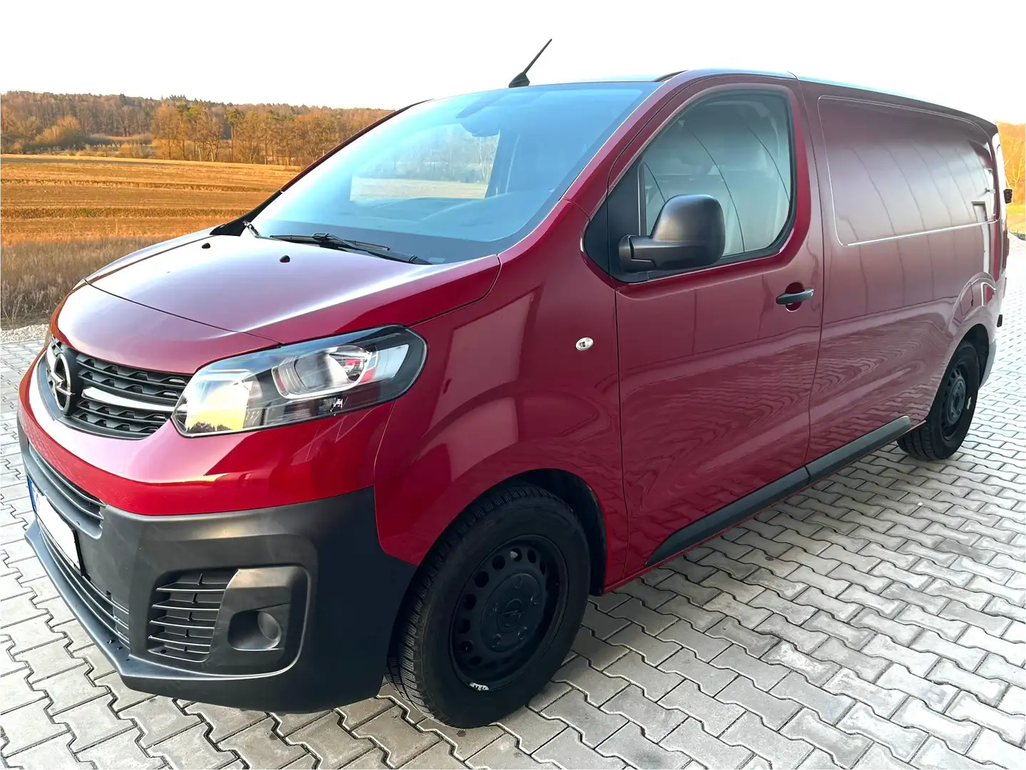 Opel Vivaro Vivaro 2.0 CDTI L2H1 DPF Rot - 2