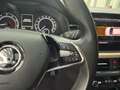 Skoda Kamiq Kamiq 2019 1.0 g-tec Monte Carlo 90cv Blanc - thumbnail 16