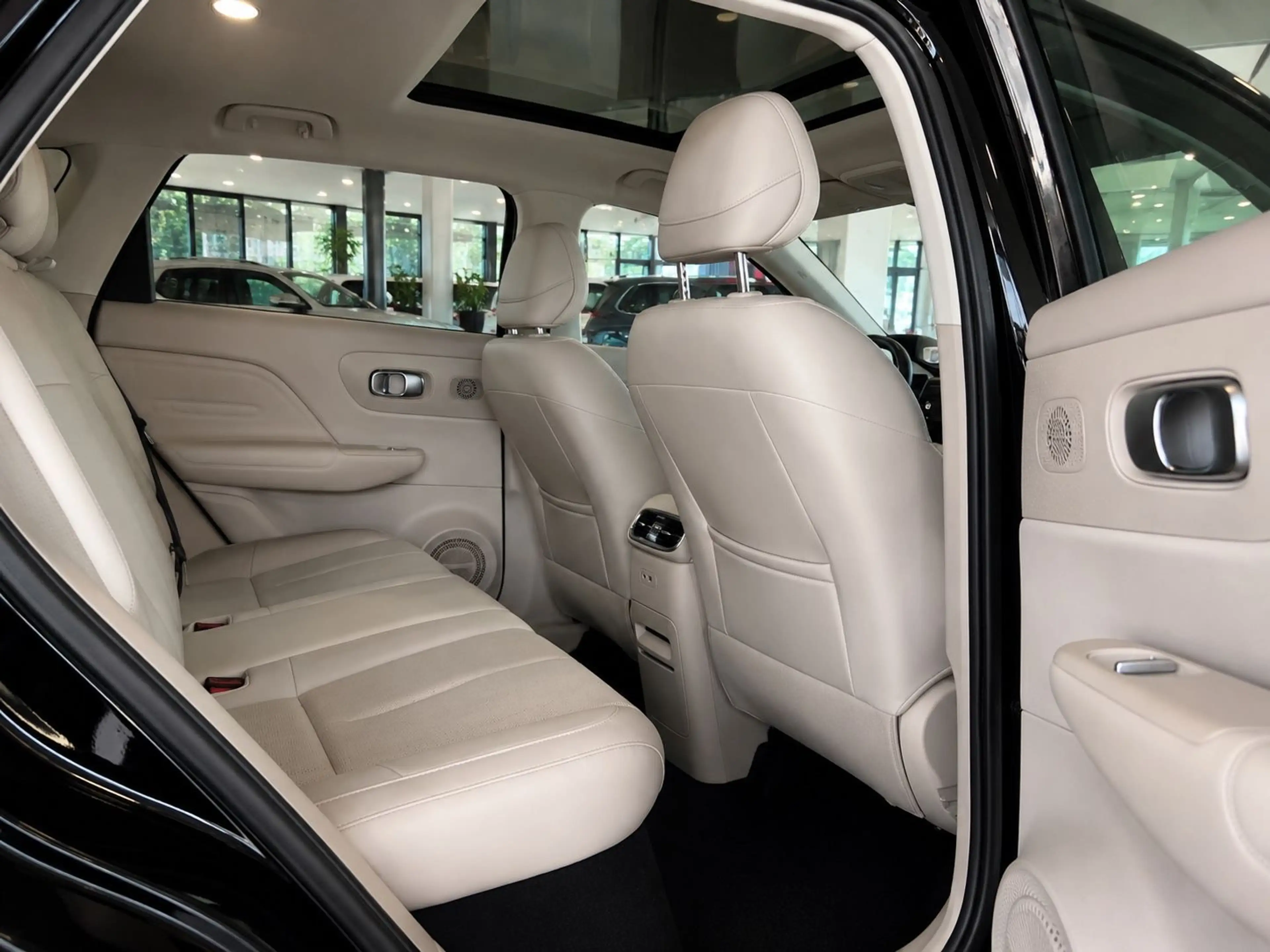 Leapmotor B10 *67.1KW/h*Design Pro Max*Vollausstattung* — photo 9