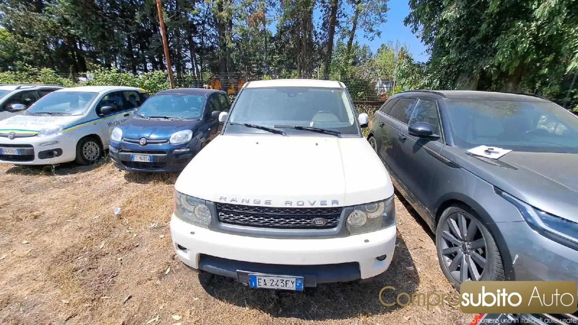 Land Rover Range Rover Sport 3.0 SDV6 HSE MOTORE FUSO Bianco - 1