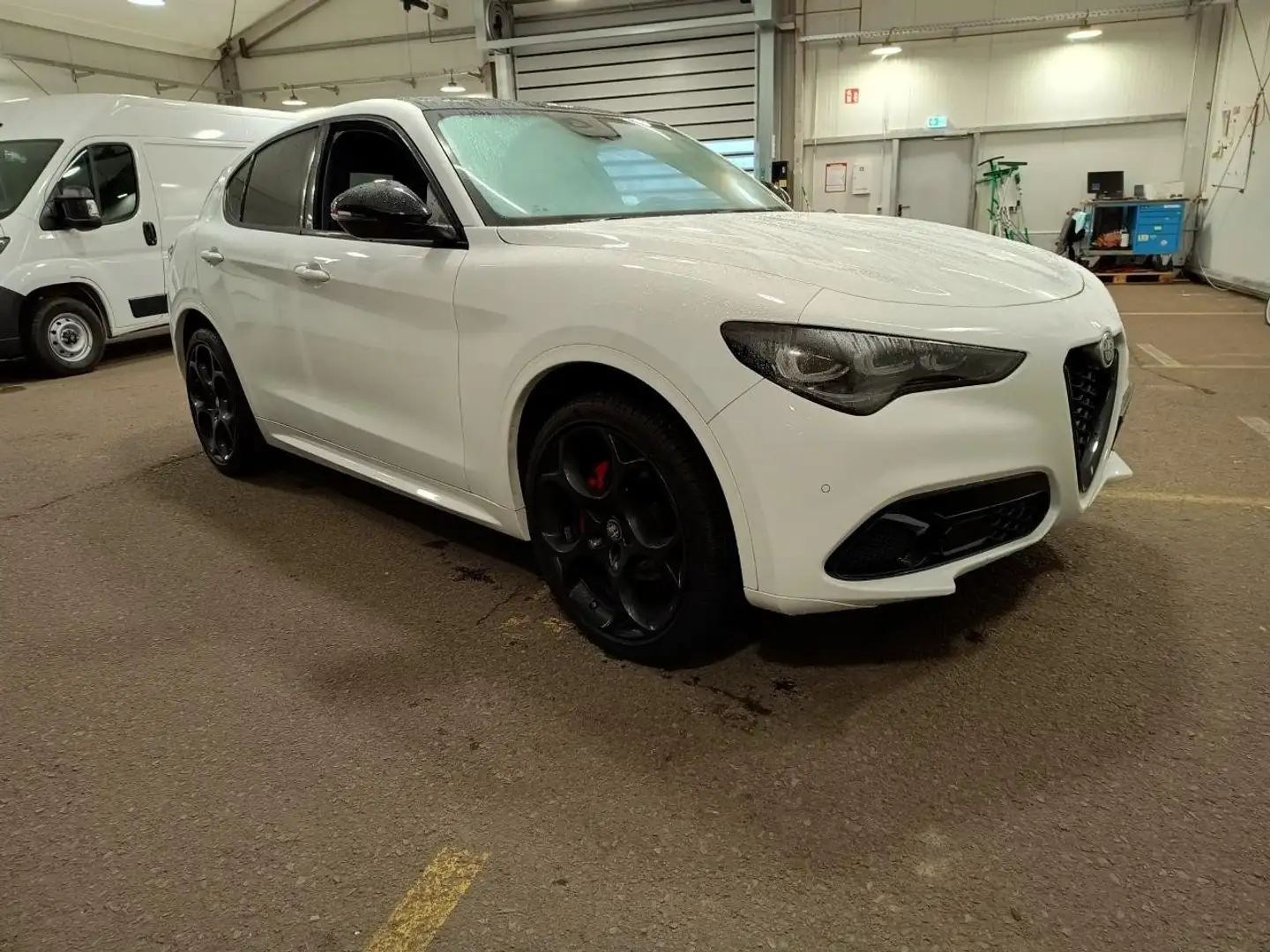 Alfa Romeo Stelvio Tributo Italiano Q4 Weiß - 2