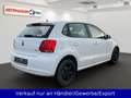 Volkswagen Polo V 1.2 TDI Trendline 5-trg. Weiß - thumbnail 5