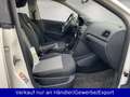 Volkswagen Polo V 1.2 TDI Trendline 5-trg. Weiß - thumbnail 13