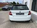 Skoda Fabia 1.0 TSI Clever Bluetooth Klima Einparkhilfe Blanc - thumbnail 5