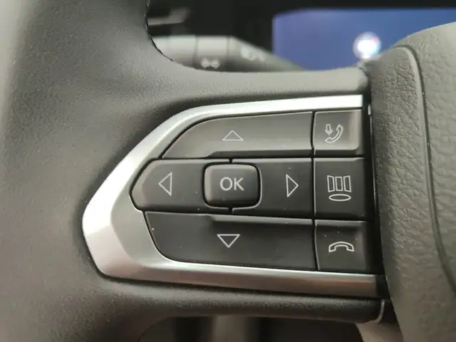 Jeep Compass view 13