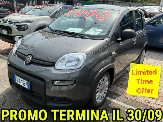 Fiat Panda Panda 1.0 firefly hybrid DISPONIBILI VARI COLORI
