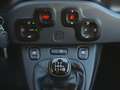 Fiat Panda 1.0 Hybrid Red - Unicoproprietario - Solo 13350 KM Rot - thumbnail 13