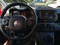 Fiat Panda 1.0 Hybrid Red - Unicoproprietario - Solo 13350 KM Rot - thumbnail 9