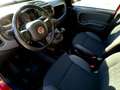 Fiat Panda 1.0 Hybrid Red - Unicoproprietario - Solo 13350 KM Rot - thumbnail 10