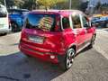 Fiat Panda 1.0 Hybrid Red - Unicoproprietario - Solo 13350 KM Rot - thumbnail 7
