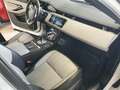 Land Rover Range Rover Evoque 2.0D I4-L.Flw 150 CV AWD Auto R-Dynamic S Bianco - thumbnail 15