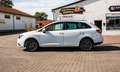 SEAT Ibiza 1.2 TDI CR Style Klima+TUV12/24+NR1 Blanc - thumbnail 10