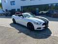 Ford Mustang 2017  V6 3.7L NAVI Leder Unfallfrei Blanc - thumbnail 4