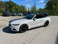 Ford Mustang 2017  V6 3.7L NAVI Leder Unfallfrei Blanc - thumbnail 17
