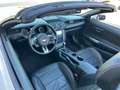 Ford Mustang 2017  V6 3.7L NAVI Leder Unfallfrei Blanc - thumbnail 10