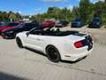 Ford Mustang 2017  V6 3.7L NAVI Leder Unfallfrei Blanc - thumbnail 19
