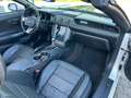Ford Mustang 2017  V6 3.7L NAVI Leder Unfallfrei Blanc - thumbnail 14