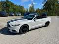 Ford Mustang 2017  V6 3.7L NAVI Leder Unfallfrei Blanc - thumbnail 22