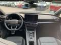 CUPRA SP VZ 2.0 TSI 228kW (310 CV) 4Drive DSG Gris - thumbnail 12