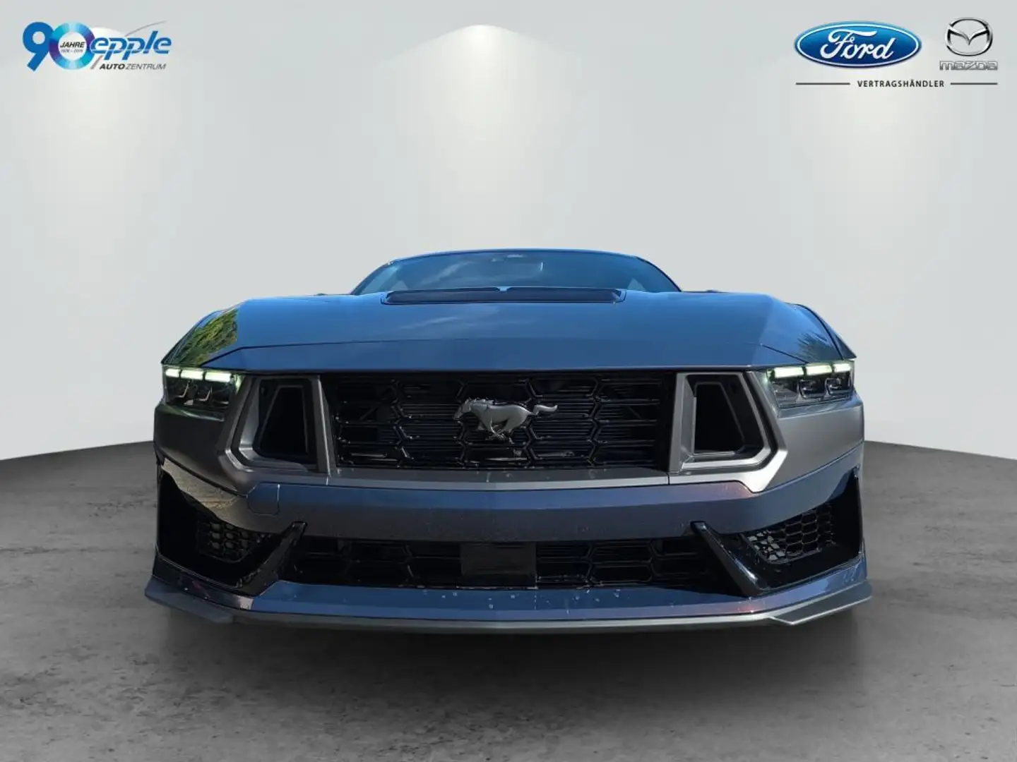 Ford Mustang Fastback Dark Hourse 5.0 Ti-VCT V8 Aut. Синий - 2