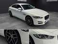Jaguar XE 2.0 Diesel Portfolio Aut. 180 Blanco - thumbnail 16