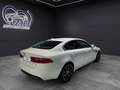 Jaguar XE 2.0 Diesel Portfolio Aut. 180 Blanco - thumbnail 4