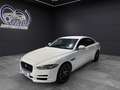 Jaguar XE 2.0 Diesel Portfolio Aut. 180 Blanco - thumbnail 7