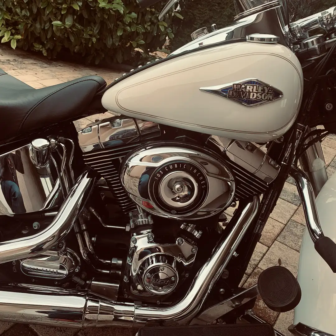 Harley-Davidson Heritage Softail FLSTC 103 Oro - 2